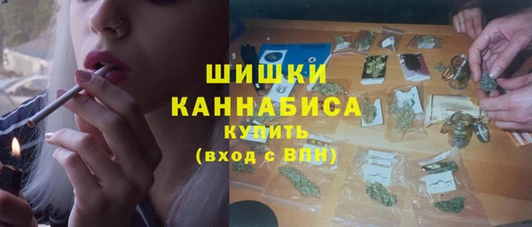 прущие грибы Волосово
