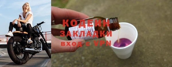 прущие грибы Волосово