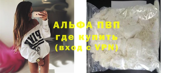 прущие грибы Волосово