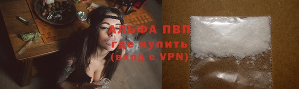 прущие грибы Волосово