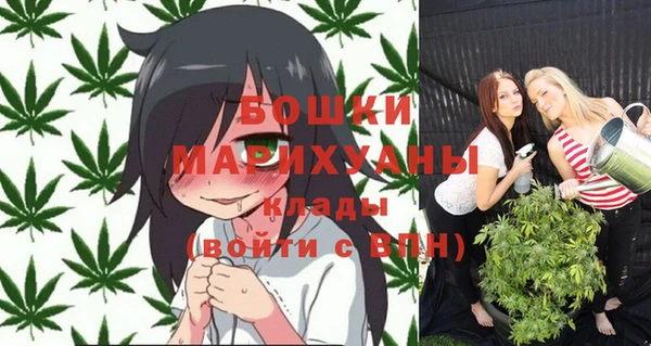 прущие грибы Волосово