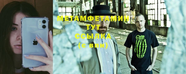прущие грибы Волосово