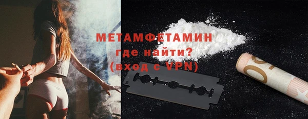прущие грибы Волосово