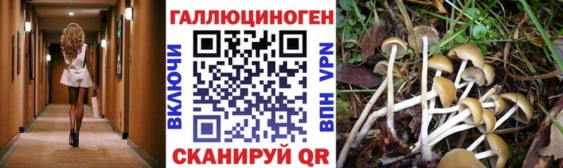 Галлюциногенные грибы ЛСД  как найти закладки  blacksprut маркетплейс  Чулым 